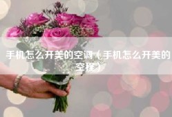 手机怎么开美的空调（手机怎么开美的空程）