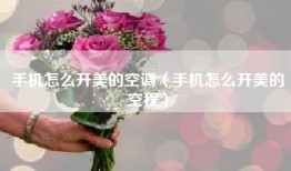 手机怎么开美的空调（手机怎么开美的空程）