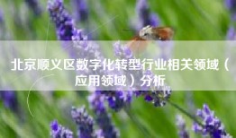 北京顺义区数字化转型行业相关领域（应用领域）分析