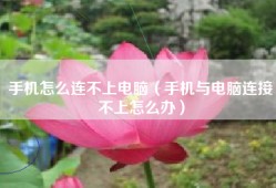 手机怎么连不上电脑（手机与电脑连接不上怎么办）