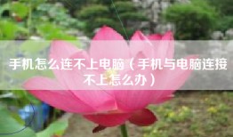 手机怎么连不上电脑（手机与电脑连接不上怎么办）