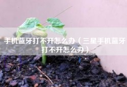 手机蓝牙打不开怎么办（三星手机蓝牙打不开怎么办）