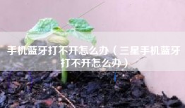 手机蓝牙打不开怎么办（三星手机蓝牙打不开怎么办）
