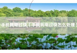 手机耗电过快（手机耗电过快怎么处理）