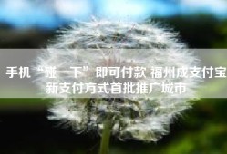 手机“碰一下”即可付款 福州成支付宝新支付方式首批推广城市