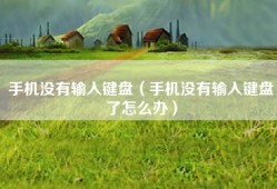 手机没有输入键盘（手机没有输入键盘了怎么办）