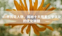 SEO界传奇人物，揭秘十大搜索引擎优化的优化精髓