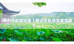 移动手机查流量（移动手机查流量用哪个app）