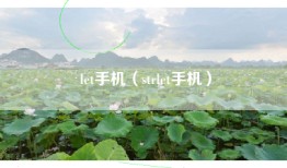 let手机（strlet手机）