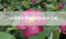 上海新永良流体科技有限公司