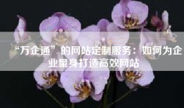 “万企通”的网站定制服务：如何为企业量身打造高效网站