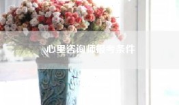 心里咨询师报考条件