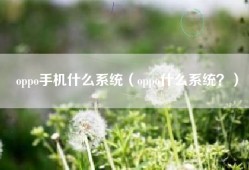 oppo手机什么系统（oppo什么系统？）