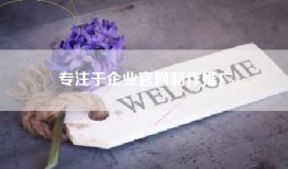 专注于企业官网制作推广