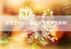 发生了什么？500亿大牛股突发跌停！