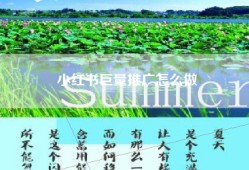 小红书巨量推广怎么做