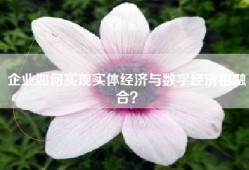 企业如何实现实体经济与数字经济相融合？