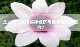 企业如何实现实体经济与数字经济相融合？