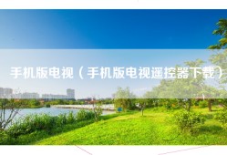 手机版电视（手机版电视遥控器下载）