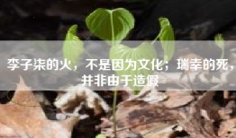 李子柒的火，不是因为文化；瑞幸的死，并非由于造假