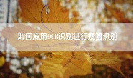 如何应用OCR识别进行搜图识别
