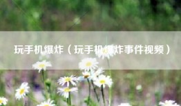 玩手机爆炸（玩手机爆炸事件视频）