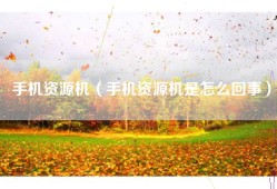 手机资源机（手机资源机是怎么回事）