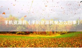 手机资源机（手机资源机是怎么回事）