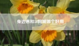 身边惠和58同城哪个好用