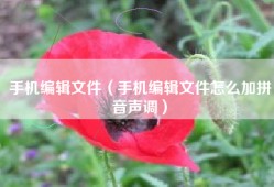 手机编辑文件（手机编辑文件怎么加拼音声调）