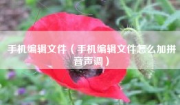 手机编辑文件（手机编辑文件怎么加拼音声调）