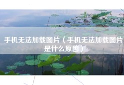 手机无法加载图片（手机无法加载图片是什么原因）
