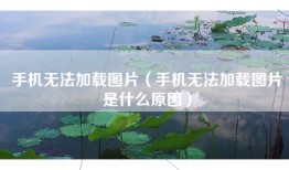手机无法加载图片(手机无法加载图片是什么原因)