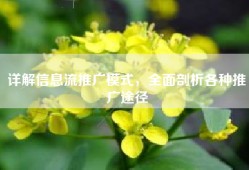 详解信息流推广模式，全面剖析各种推广途径
