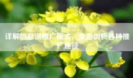 详解信息流推广模式，全面剖析各种推广途径