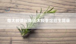 粤太极清远陈氏太极拳馆招生简章