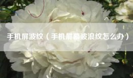 手机屏波纹（手机屏幕波浪纹怎么办）
