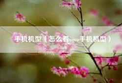 手机机型（怎么看vovo手机机型）