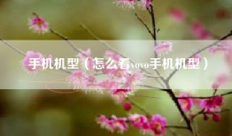 手机机型（怎么看vovo手机机型）