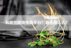 有哪些跨境电商平台？新手怎么选？
