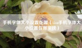 手机字体大小设置在哪（vivo手机字体大小设置在哪里找）