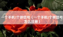 一个手机2个微信号（一个手机2个微信号怎么注册）