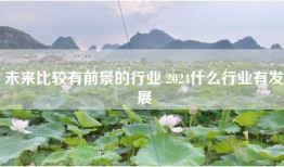 未来比较有前景的行业 2024什么行业有发展