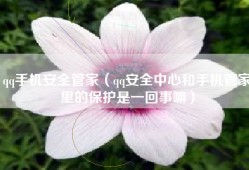 qq手机安全管家（qq安全中心和手机管家里的保护是一回事嘛）