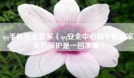 qq手机安全管家（qq安全中心和手机管家里的保护是一回事嘛）