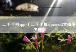二手手机oppo（二手手机opporeno5大概多少钱）