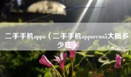 二手手机oppo（二手手机opporeno5大概多少钱）