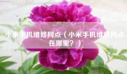 小米手机维修网点（小米手机维修网点在哪里？）