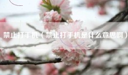 禁止打手机（禁止打手机是什么意思啊）