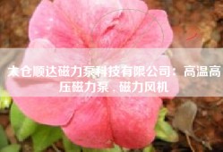 太仓顺达磁力泵科技有限公司：高温高压磁力泵 , 磁力风机